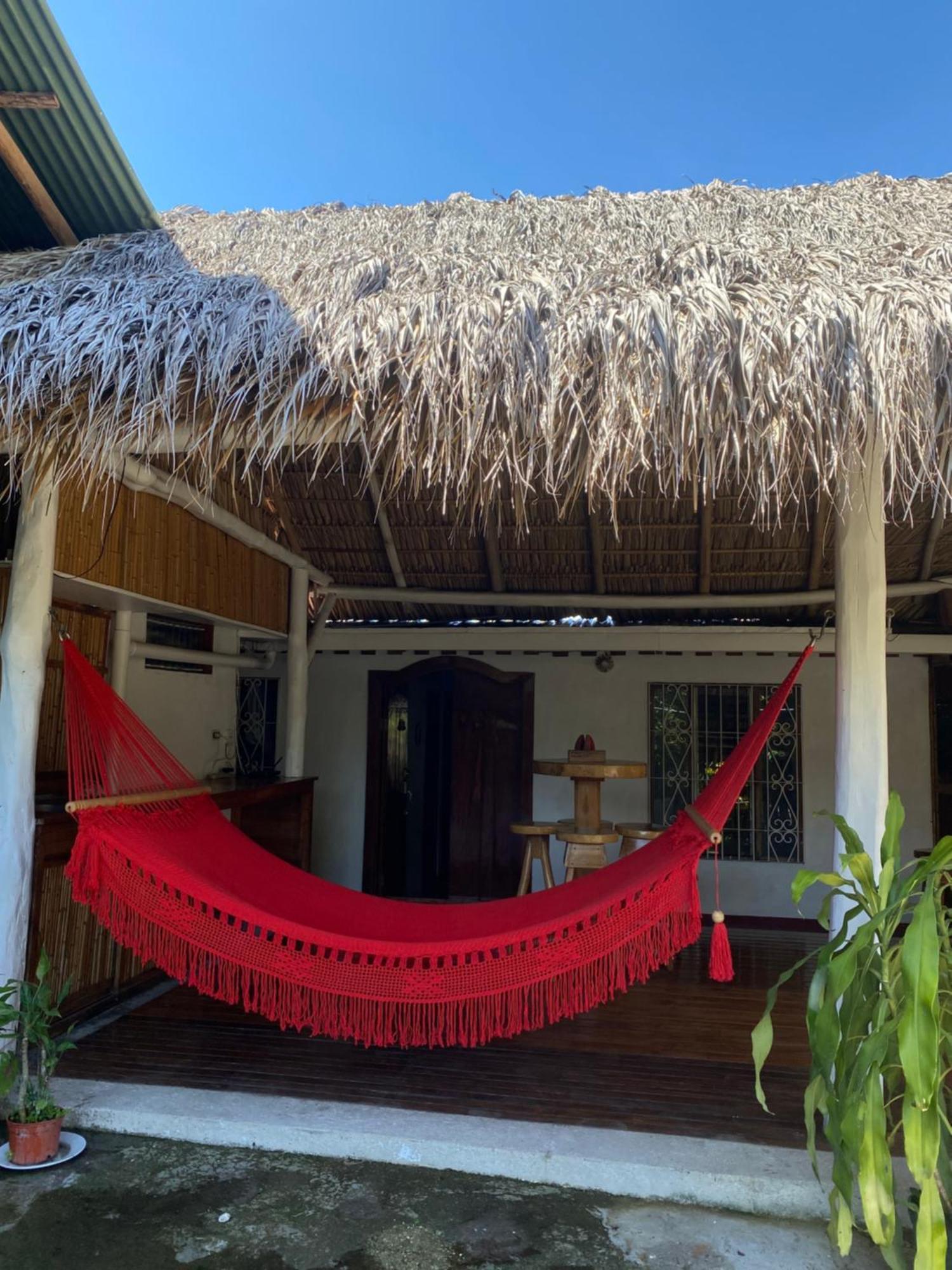 Mauras Tropical Mini Hostel & Tours Paquera Zewnętrze zdjęcie