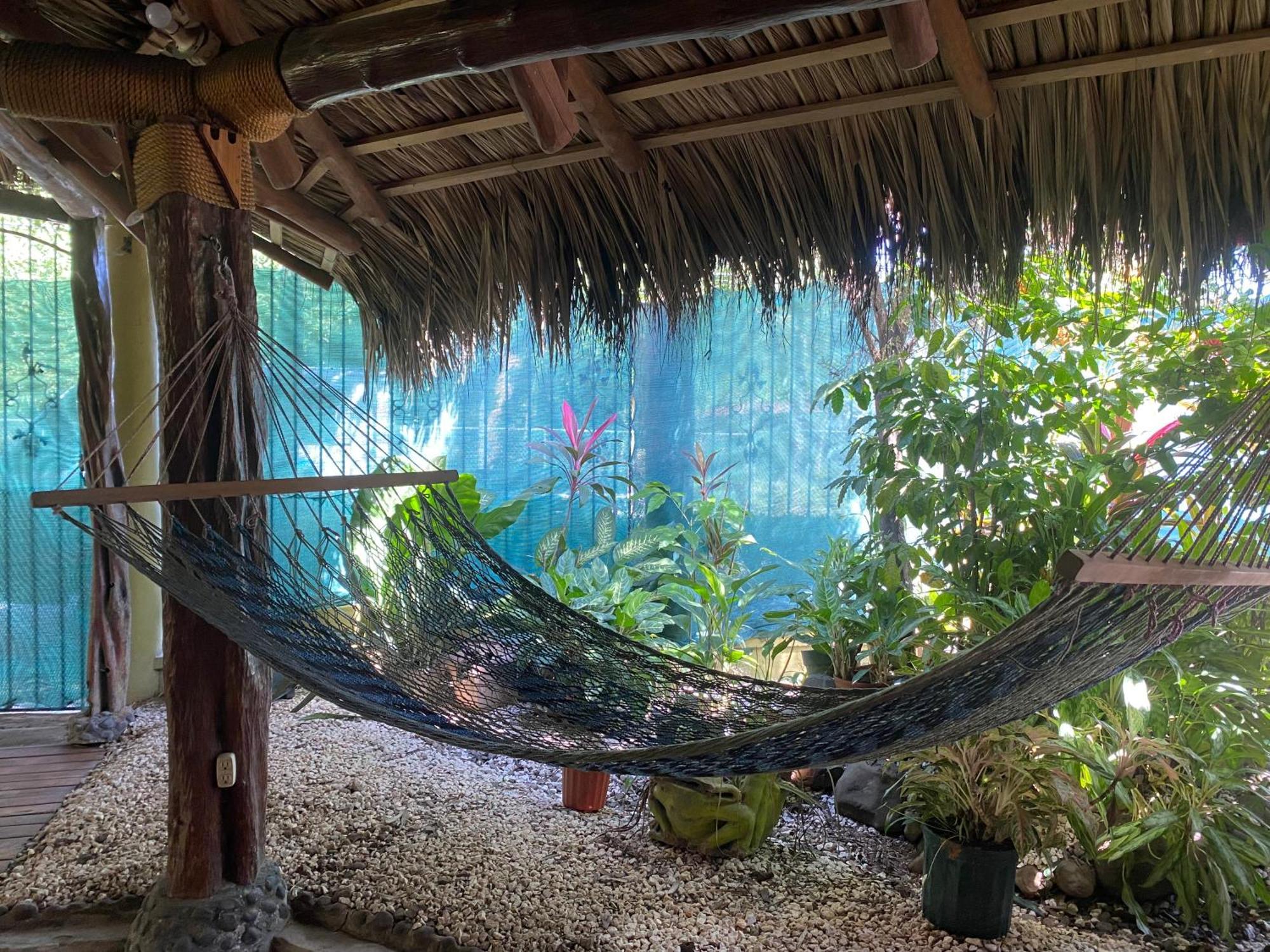 Mauras Tropical Mini Hostel & Tours Paquera Zewnętrze zdjęcie